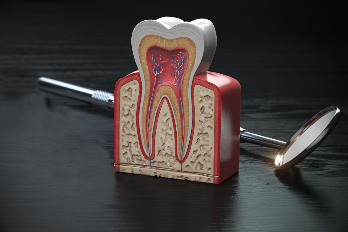 Root Canal Treatment For Front vs. Back Teeth: What’s The Difference?
